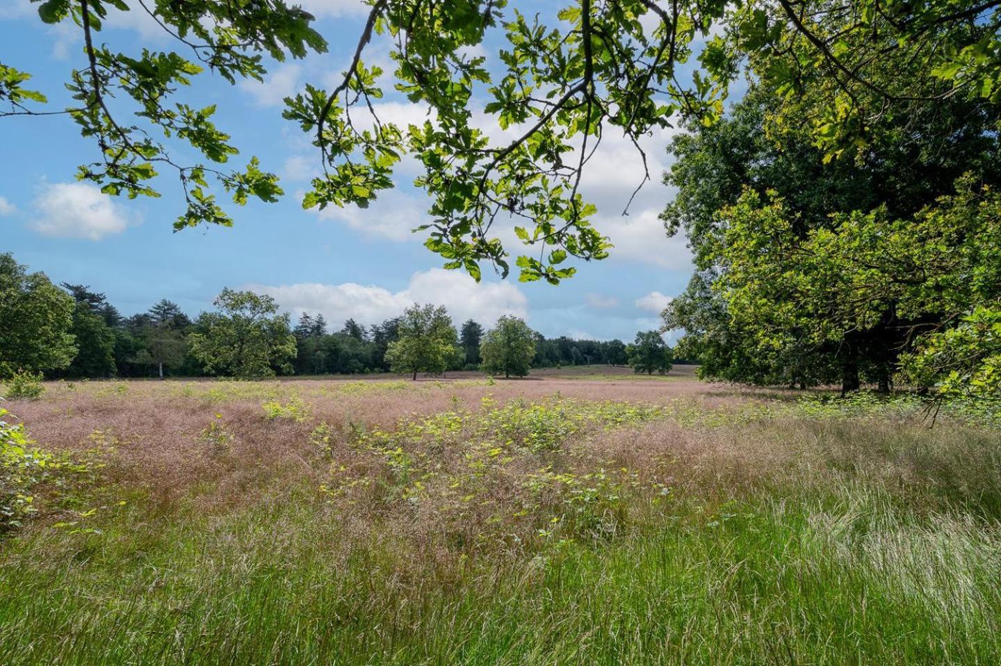 Chalet 42 'Vuursteenberg' Bospark Ijsselheide Zwolle Hattemerbroek Εξωτερικό φωτογραφία